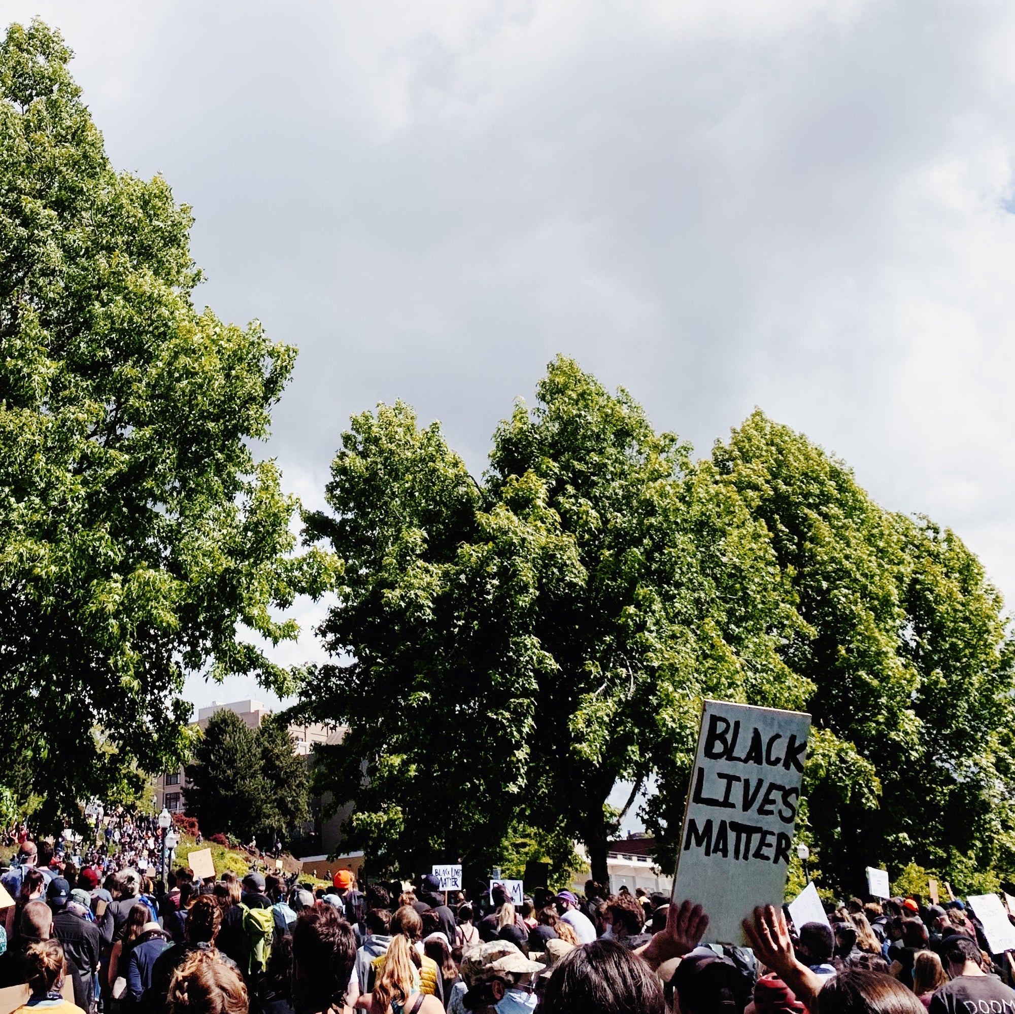 BLACK LIVES MATTER; RESOURCES FOR DISMANTLING WHITE SUPREMACY PART II