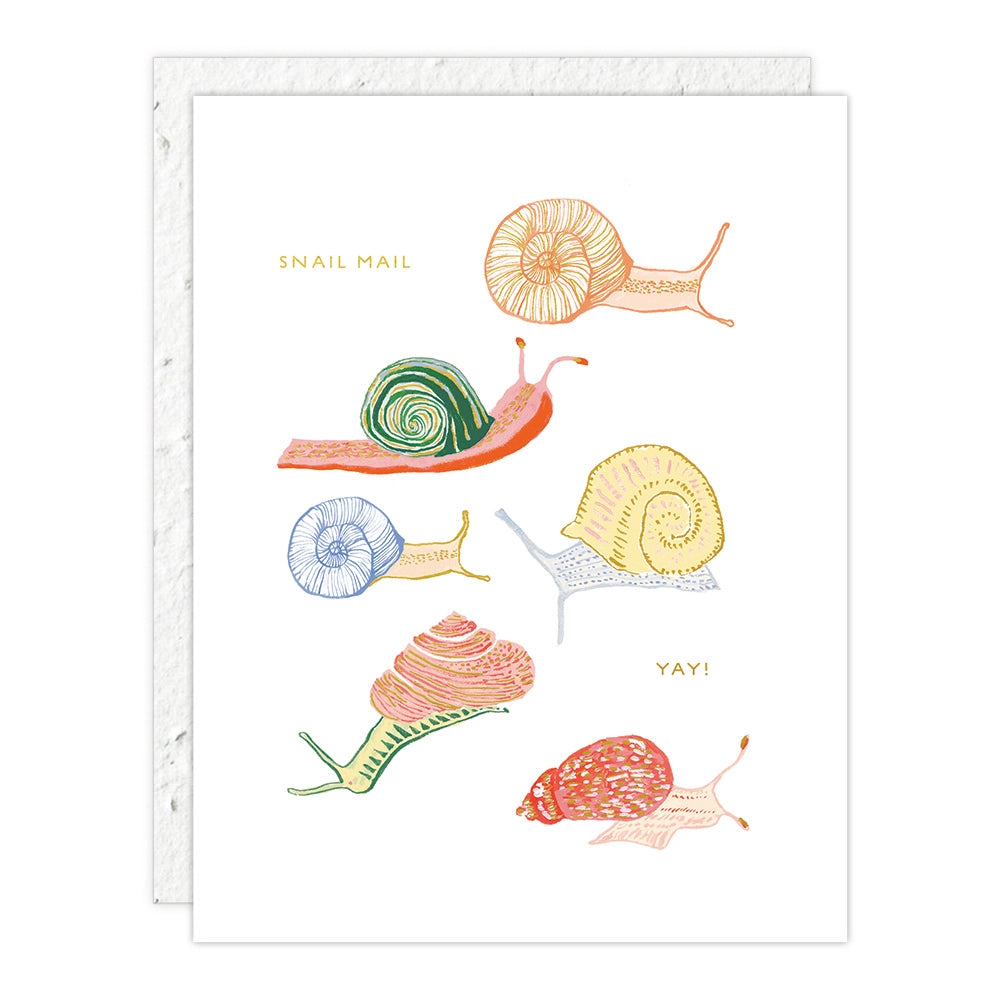 Greeting Cards by Seedlings