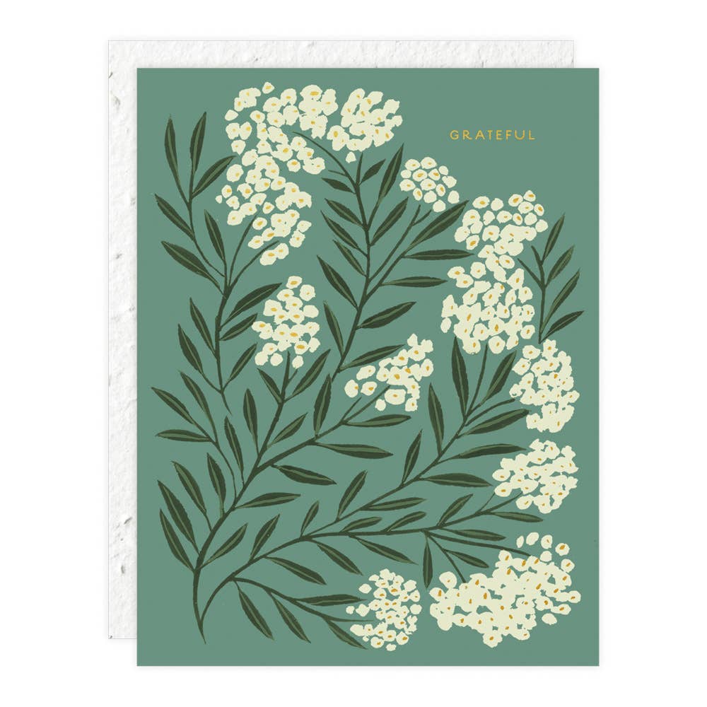 Greeting Cards by Seedlings