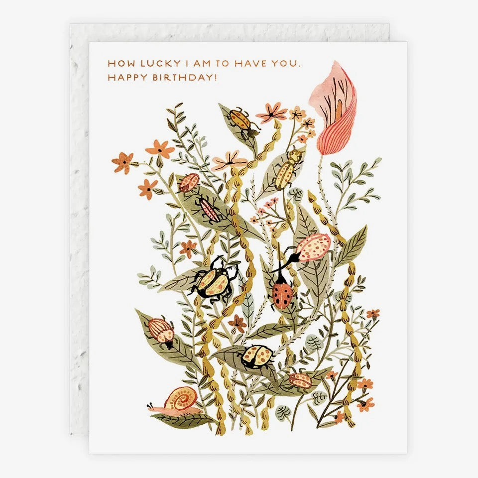 Greeting Cards by Seedlings