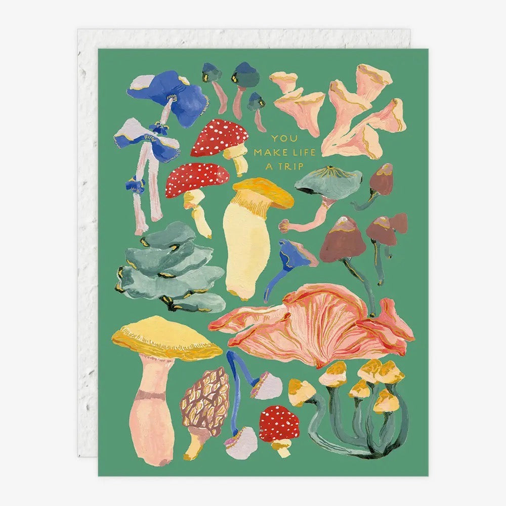 Greeting Cards by Seedlings
