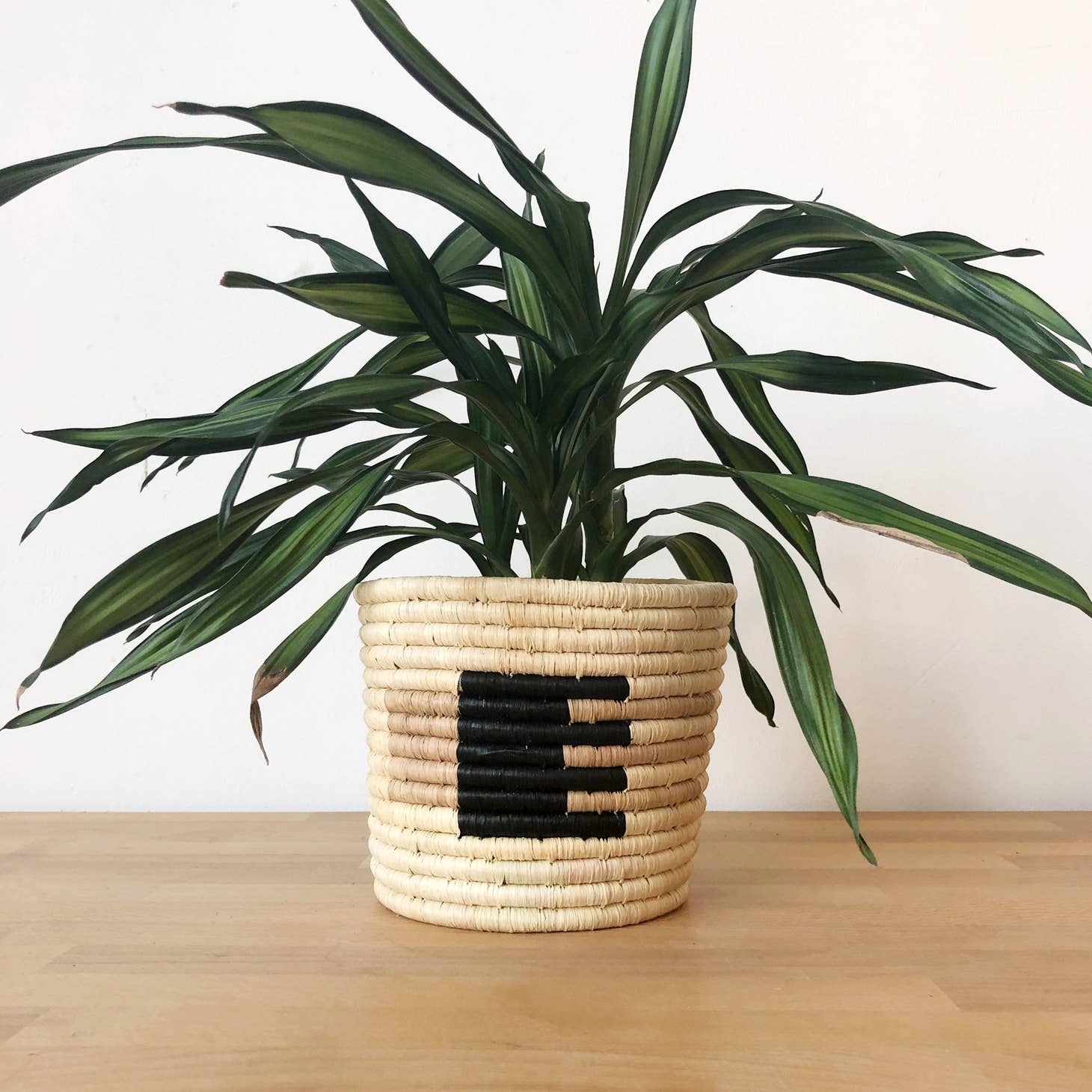 Structured Basket Planters by Amsha