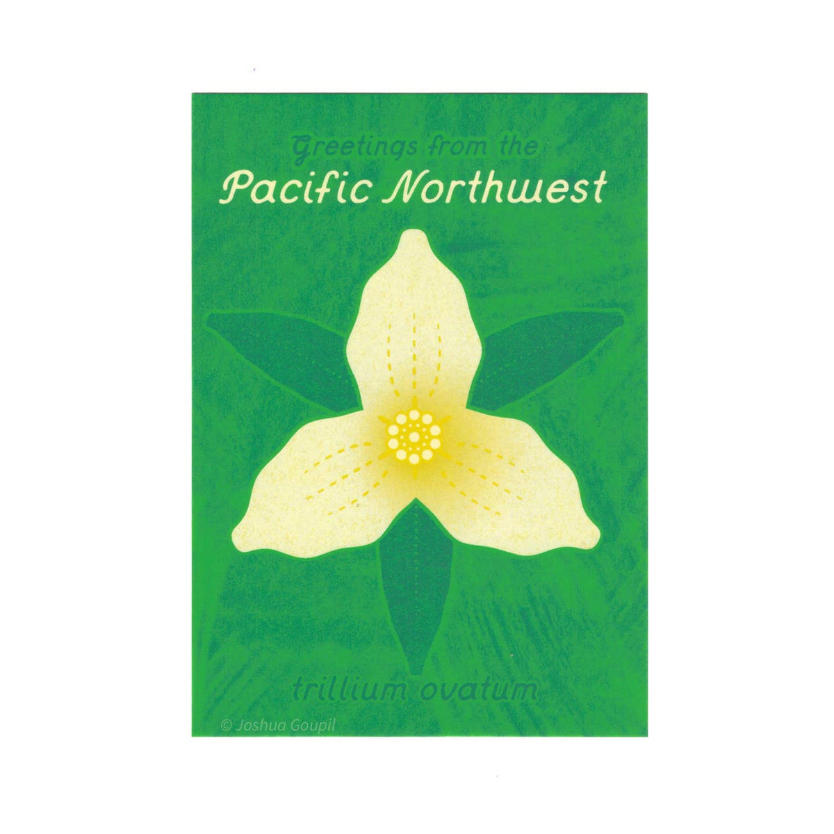 PNW + WA State Postcards