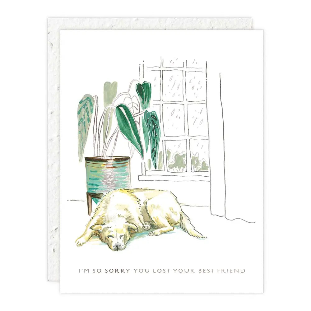 Greeting Cards by Seedlings