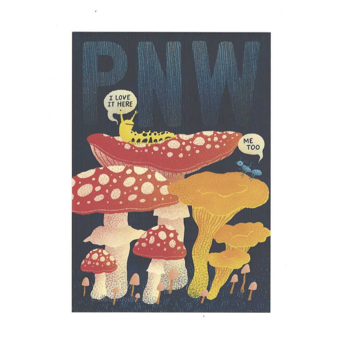 PNW + WA State Postcards