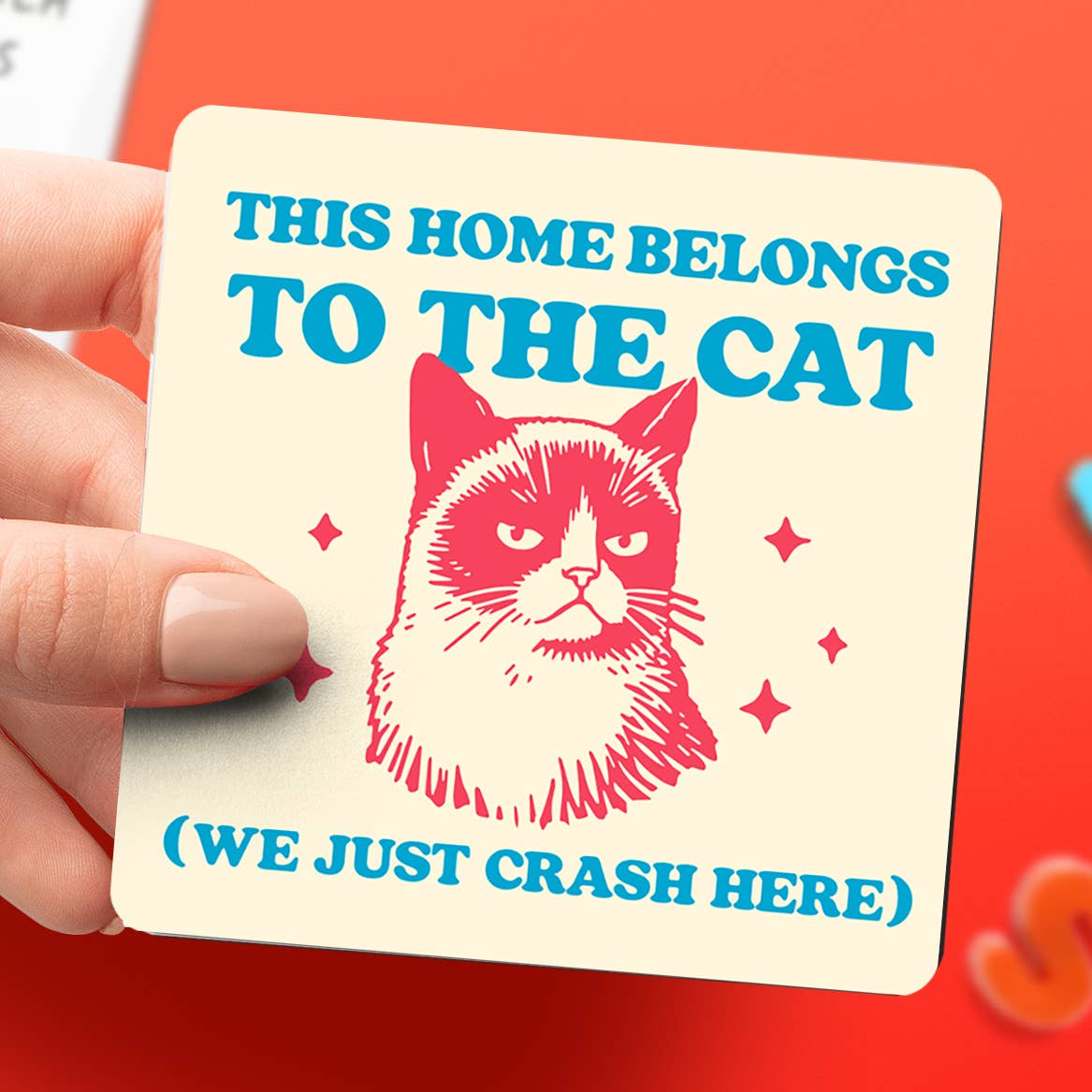 Magnets by The Raccoon Society