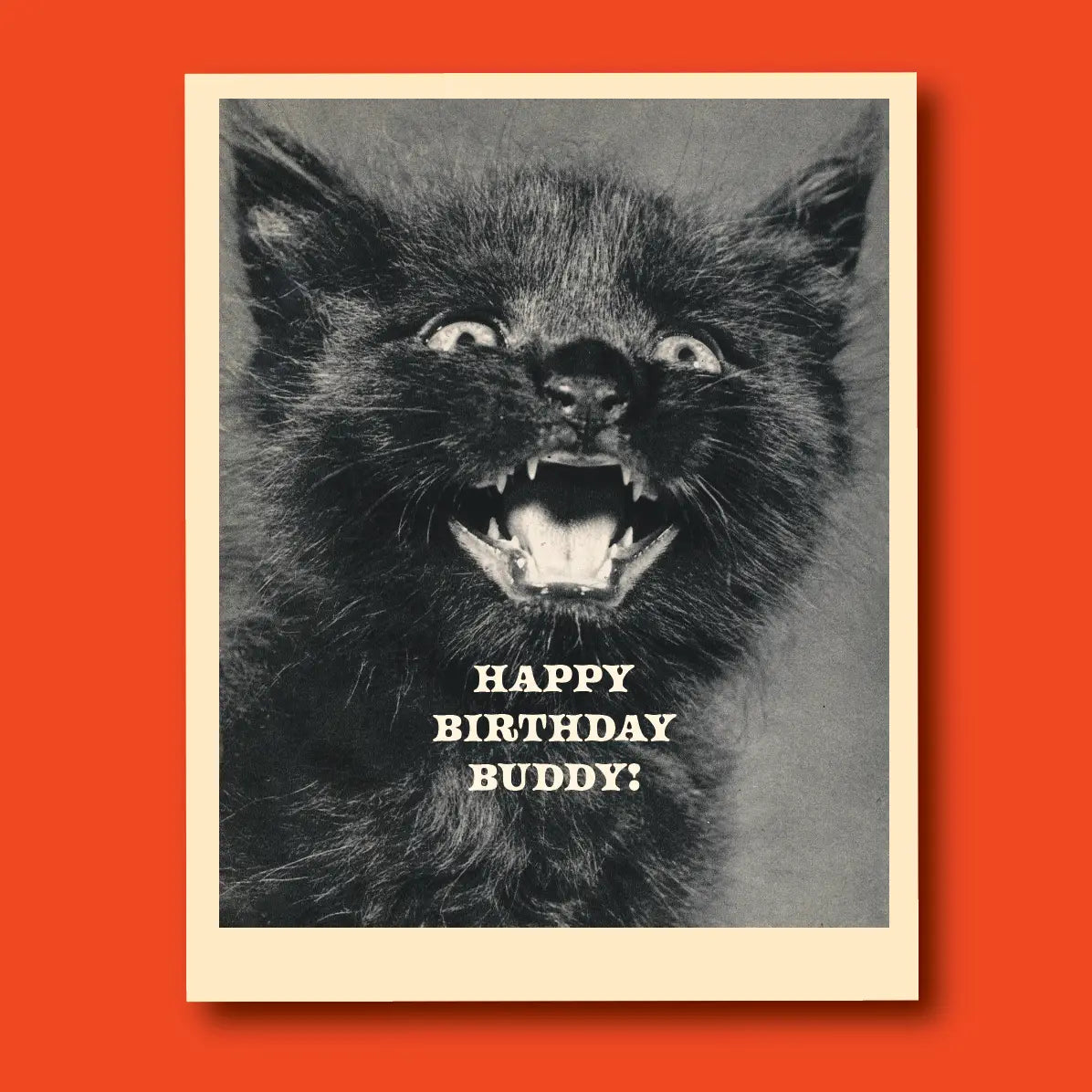 Greeting Cards by Offensive Delightful