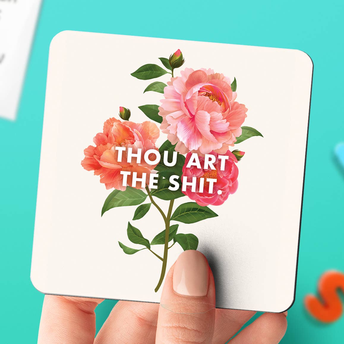 Magnets by The Raccoon Society