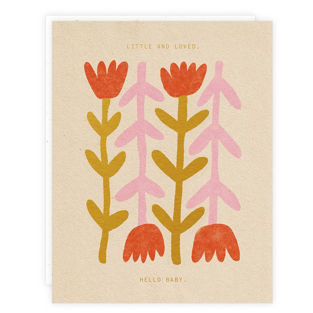 Greeting Cards by Someday Studio