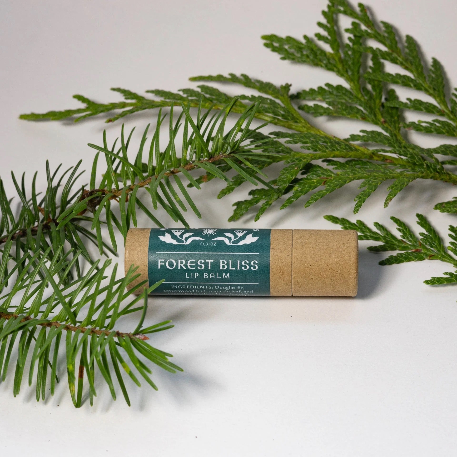 Lip Balms by Ritual Mischief Botanicals
