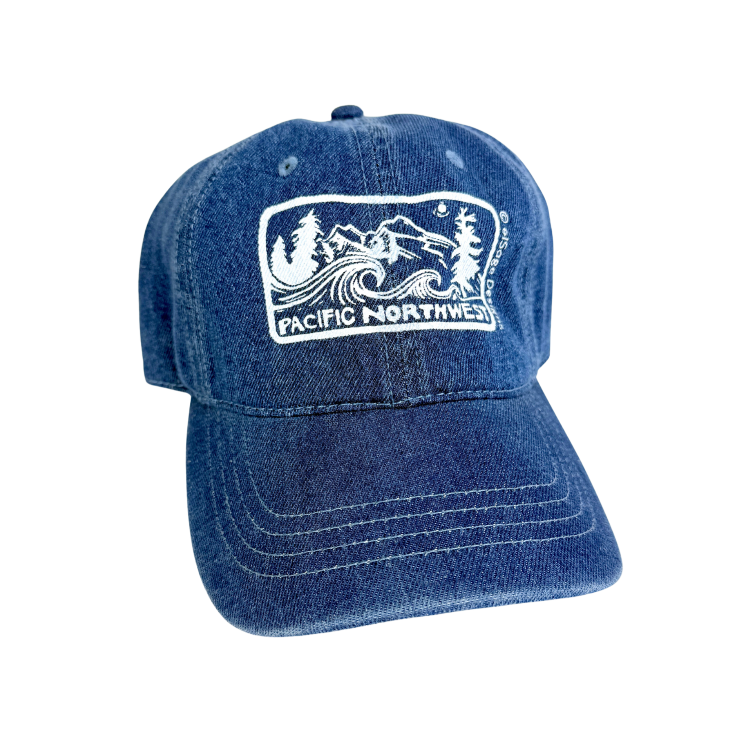 Pacific Northwest 2.0 (Phoebe's Version) Dad Hat