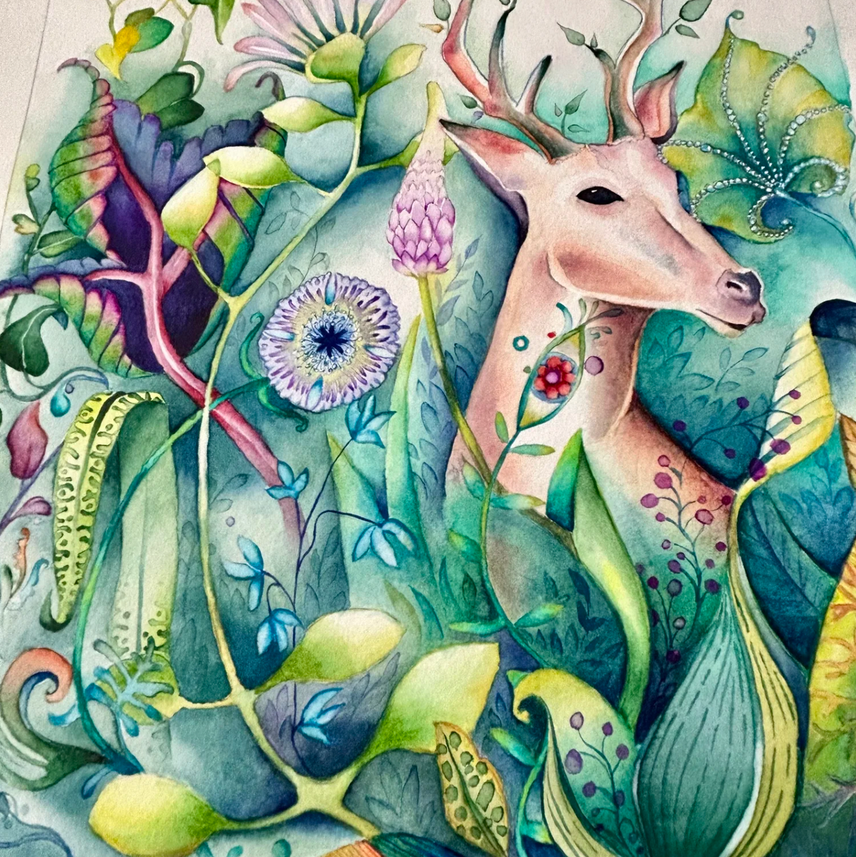 Greeting Cards by Randy Young Studio