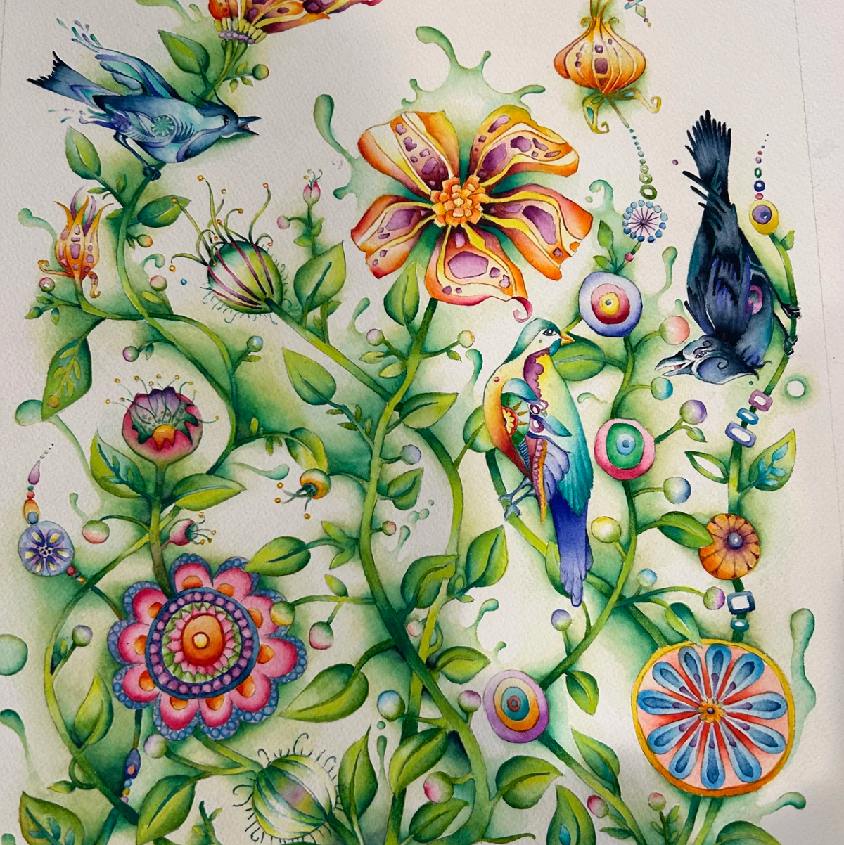 Greeting Cards by Randy Young Studio