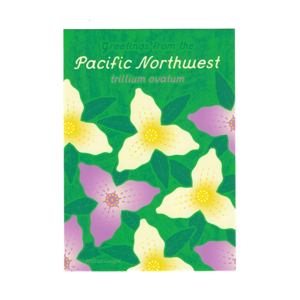 PNW + WA State Postcards