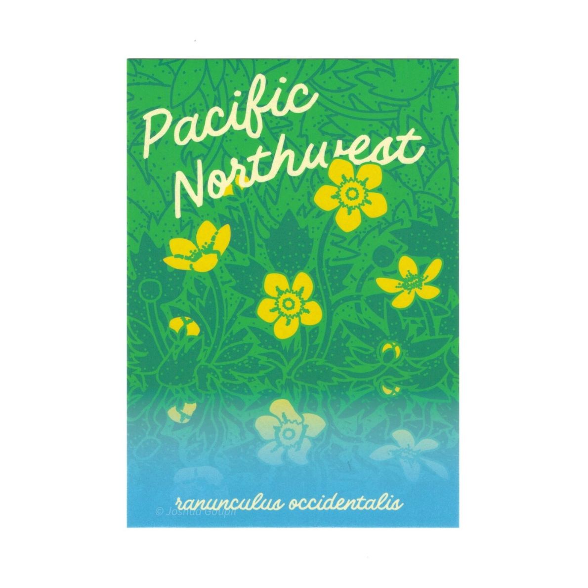 PNW + WA State Postcards