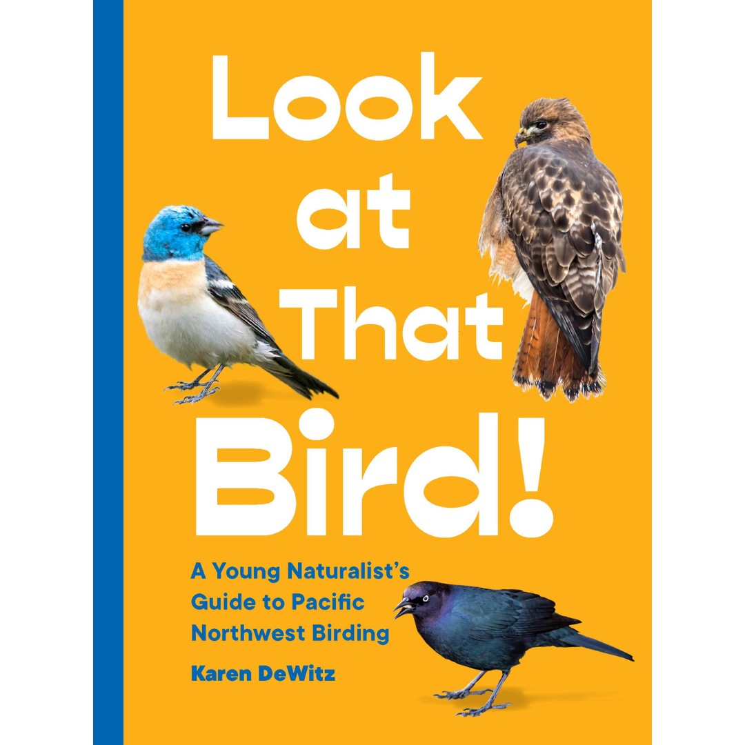 Look at That Bird! by Karen DeWitz