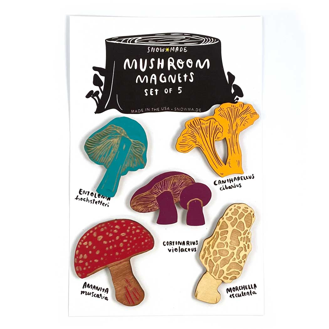 Wood Magnet Sets