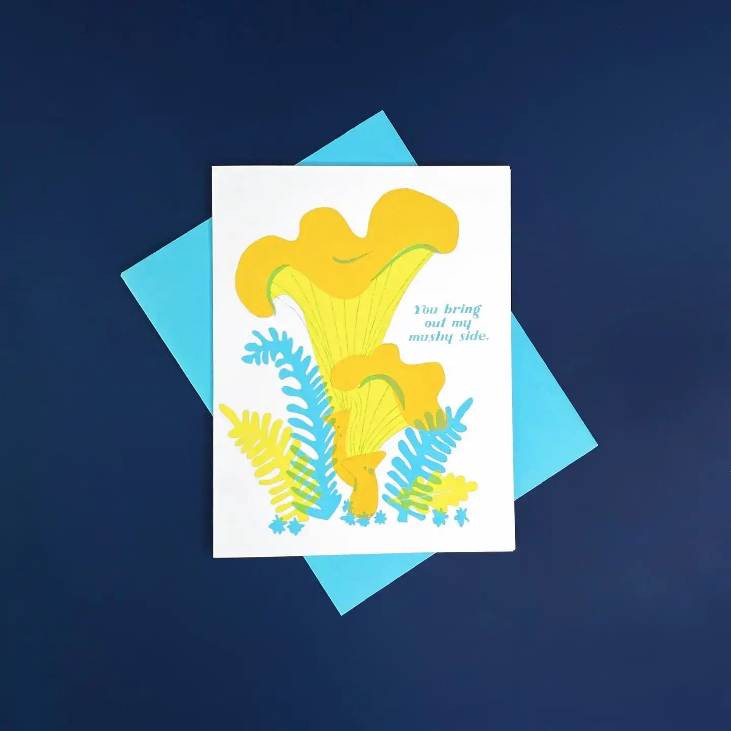 Greeting Cards in Spanish & English by Pier Six Press