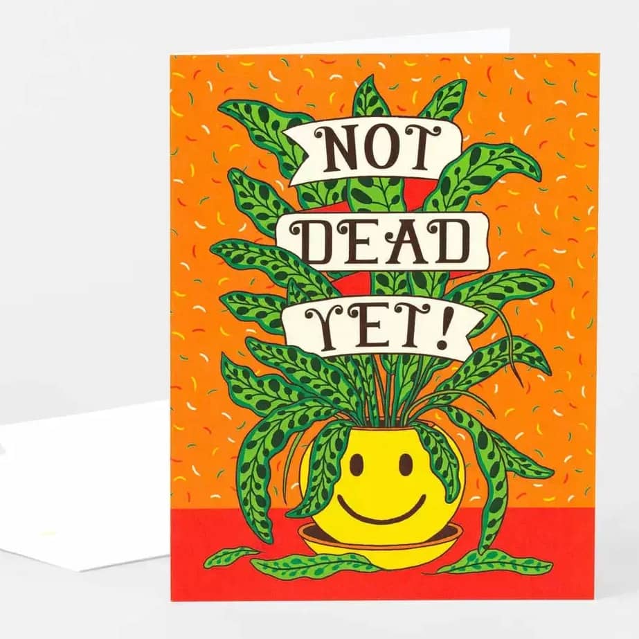 Assorted Greeting Cards