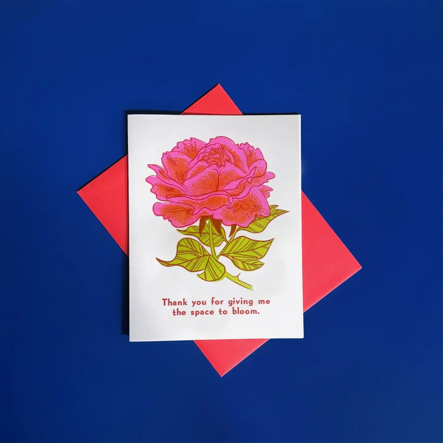 Greeting Cards in Spanish & English by Pier Six Press