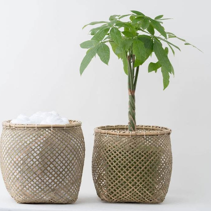 Woven Bamboo Baskets by Neepa Hut